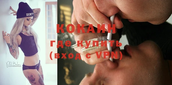 дживик Алзамай