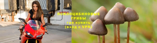 мескалин Алексин