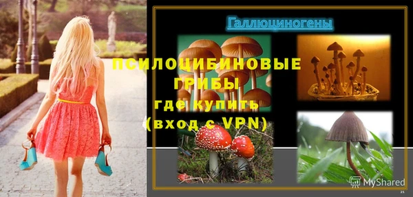 мескалин Алексин