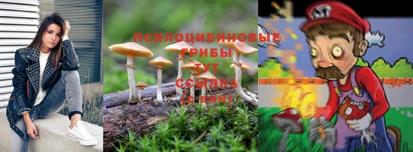 синтетический гашиш Алексеевка