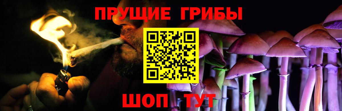 Псилоцибиновые грибы ЛСД Нефтекамск